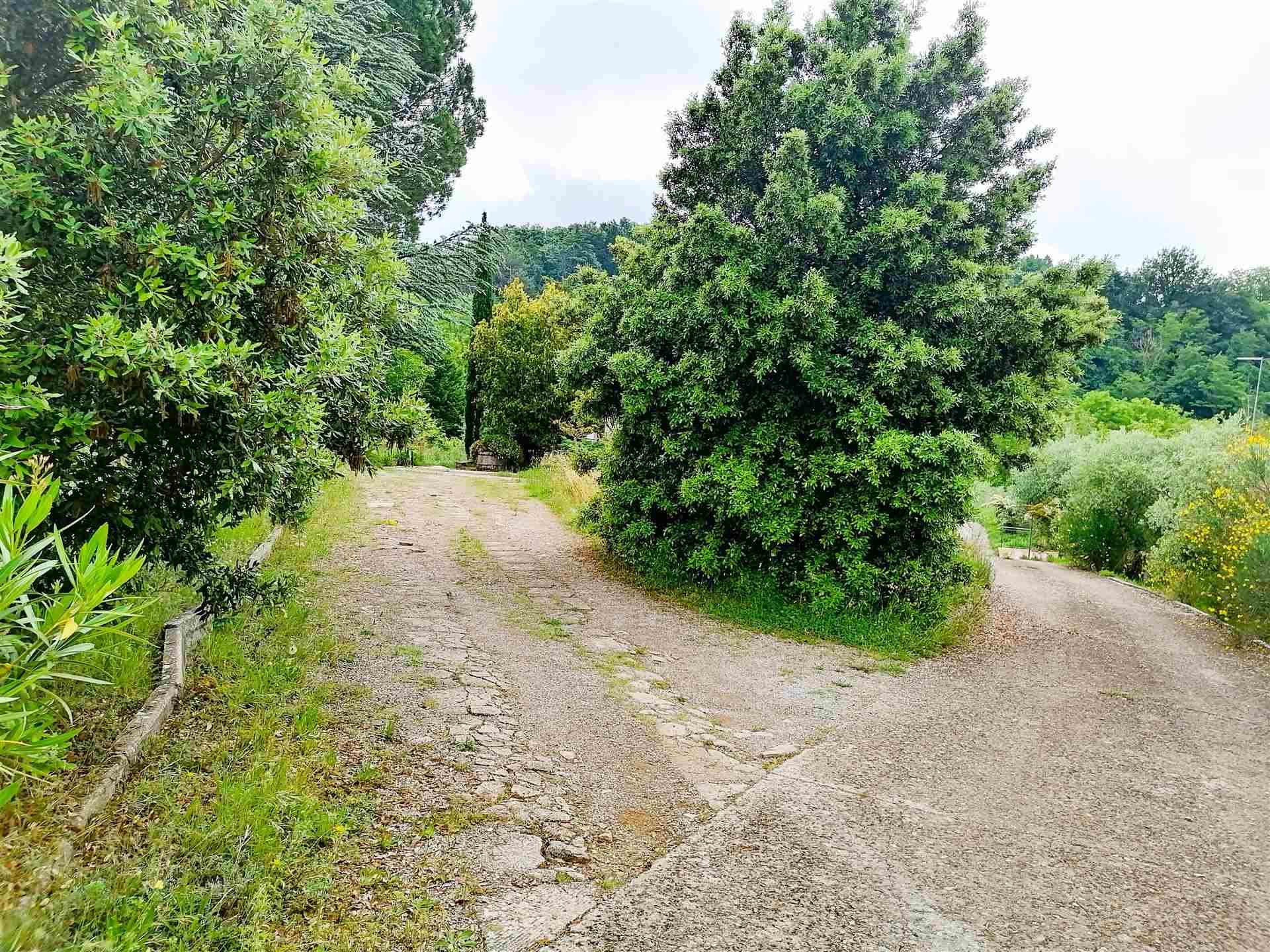 VILLA in VENDITA a MONTELEONE D'ORVIETO