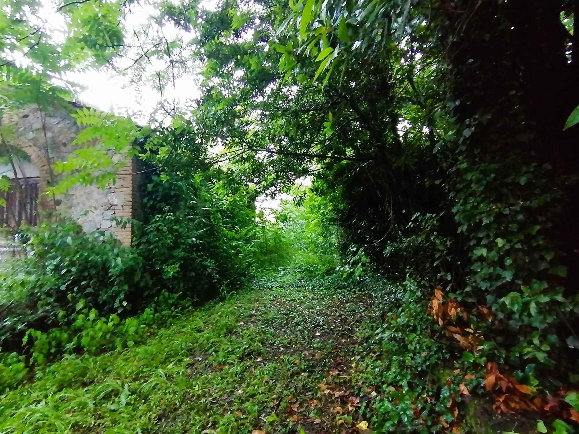 RUSTICO in VENDITA a MONTELEONE D'ORVIETO